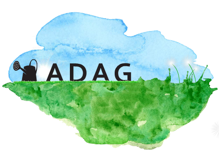 ADAG  SERVICOS DE PUBLICIDADE LTDA.